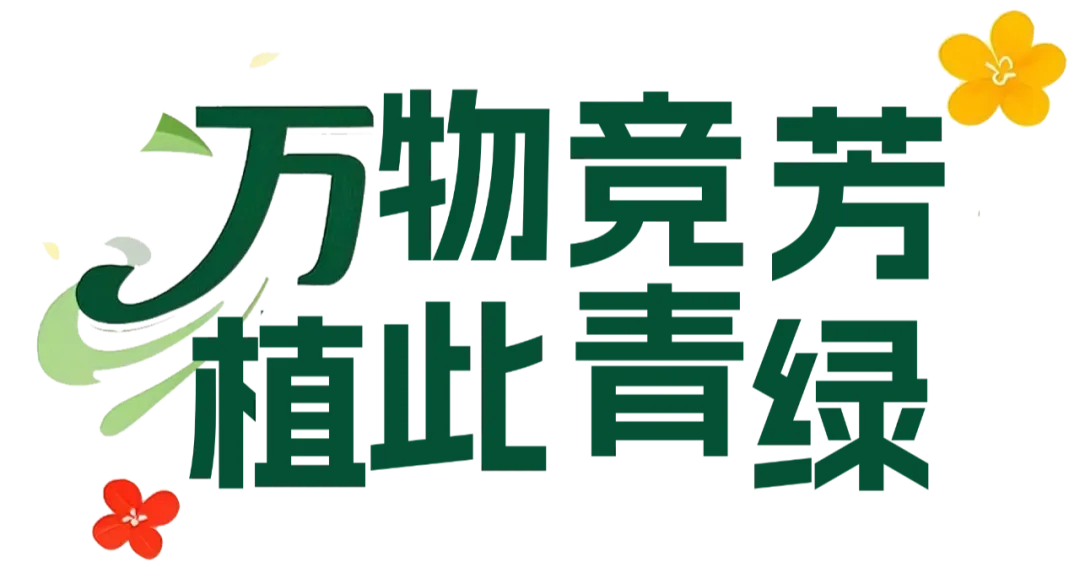 640.webp 640.webp